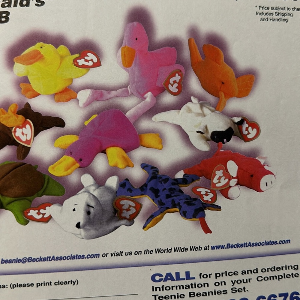 Magazine - Picture 6 of 6